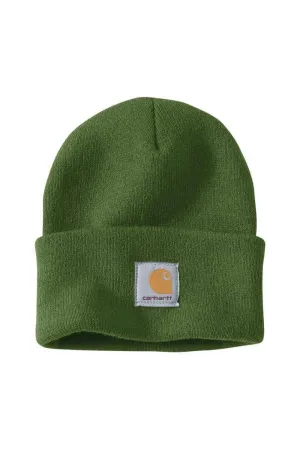 Carhartt Knit Cuff Beanie in Green | A18-G99 GREEN