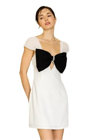Chiffon Sleeve Big Bow Detail Mini Dress