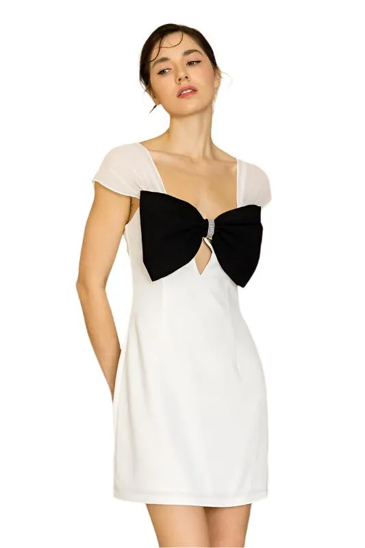 Chiffon Sleeve Big Bow Detail Mini Dress