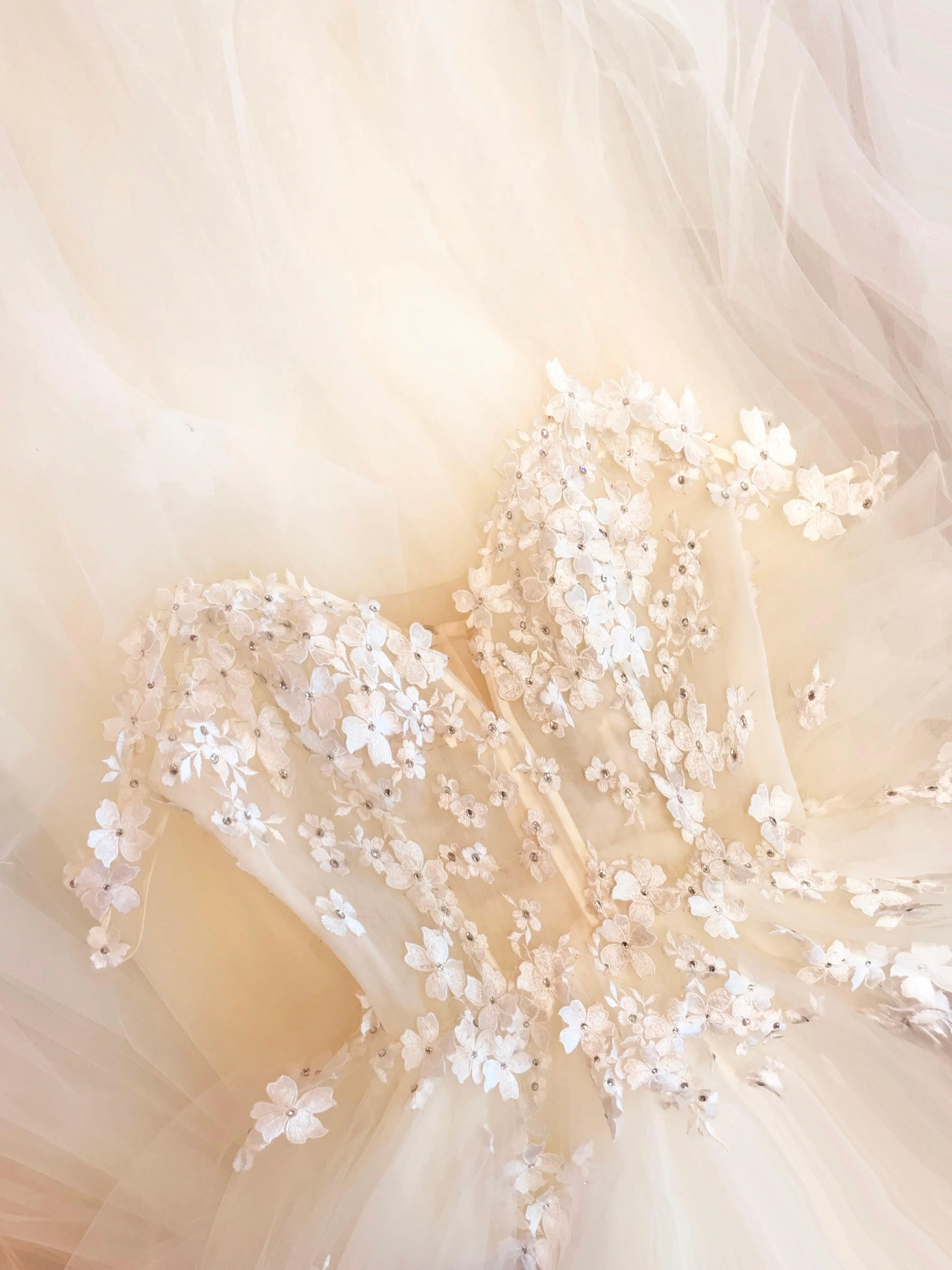 Cordelia Wedding Dress