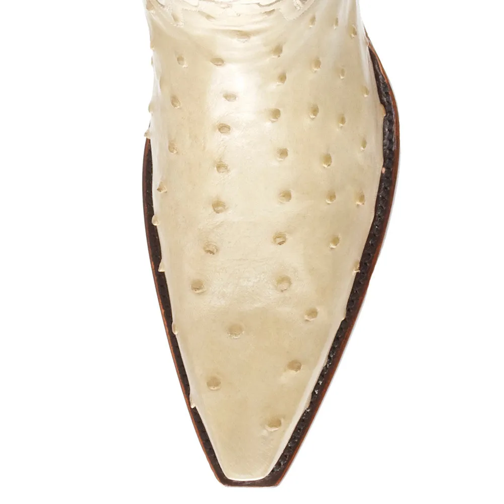 Ostrich 12" - Ivory
