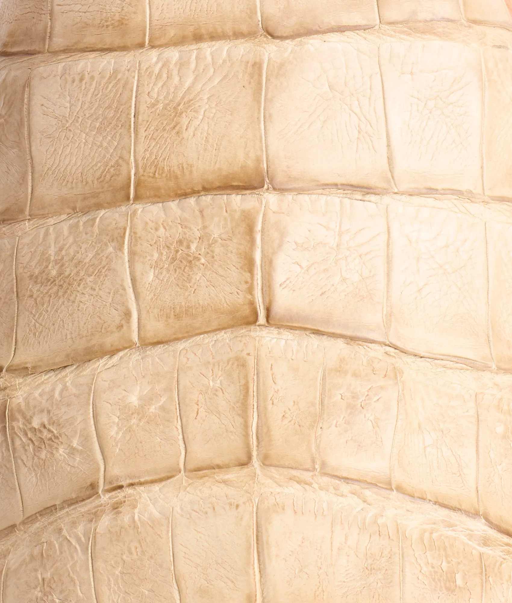 Presley Exotic :: Wheat
