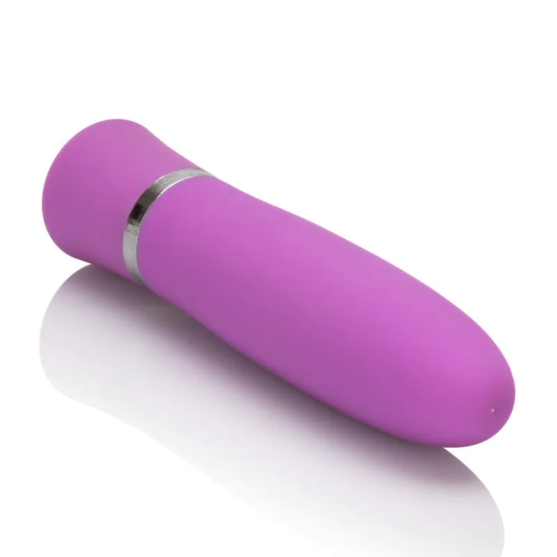 Taking Care of Business Purple Personal Massager