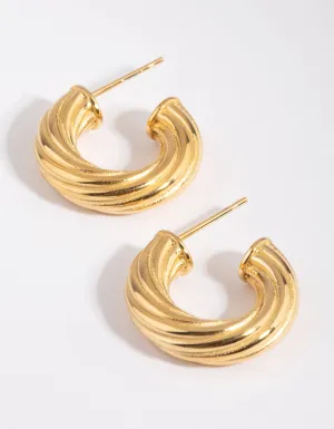 Waterproof Gold Plated Stainless Steel Hoop Earrings